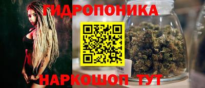 прущая мука Гусев