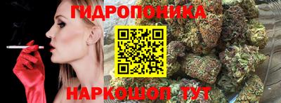 прущие грибы Гусиноозёрск