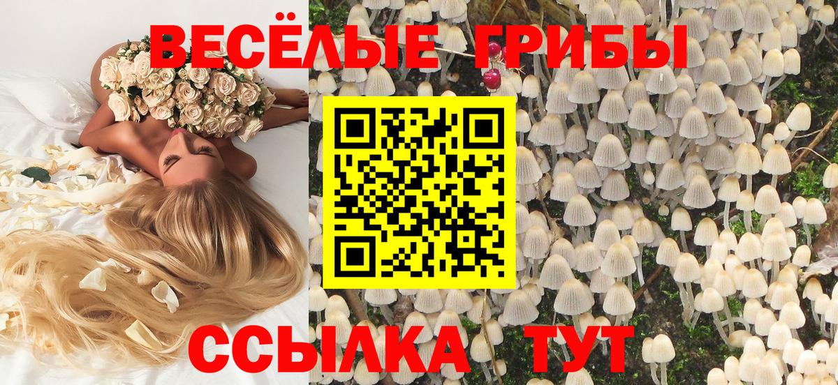 Псилоцибиновые грибы прущие грибы Кириши