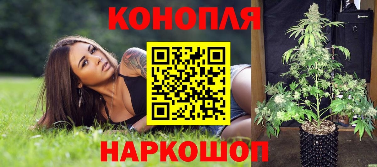 Кириши  Конопля гибрид  Вход с VPN  Марихуана конопля  Каннабис индика  Конопля White Widow 